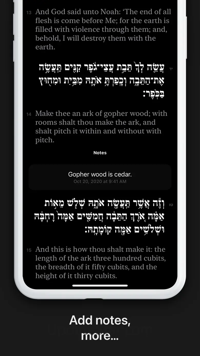 Shnayim 2.3.3