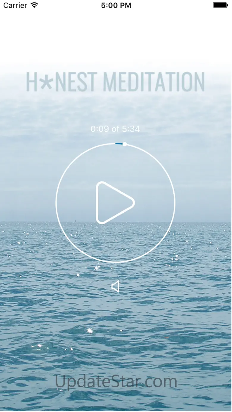 H*nest Meditation 1.6