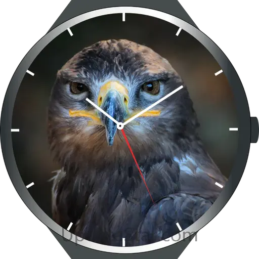 1000+ Watch Faces 2.38