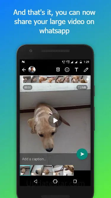 WhatsCut - Best Video Cut & Sh 8.1