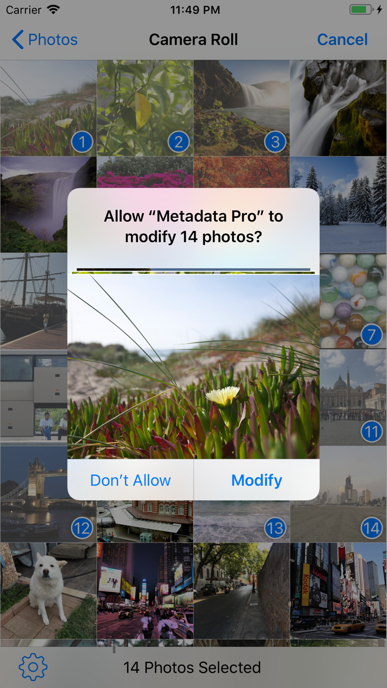 Metadata Pro 10.0