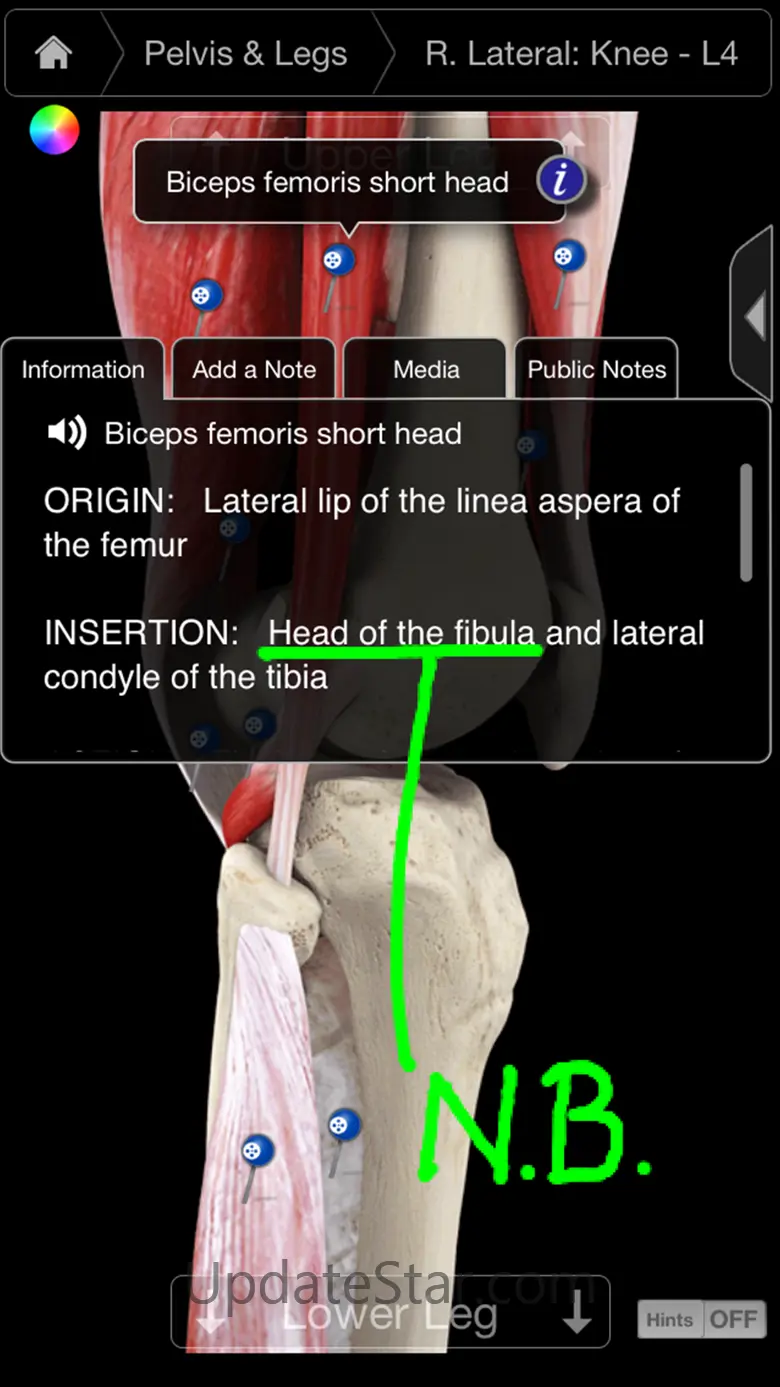 Muscle System Pro III - iPhone 3.8.2
