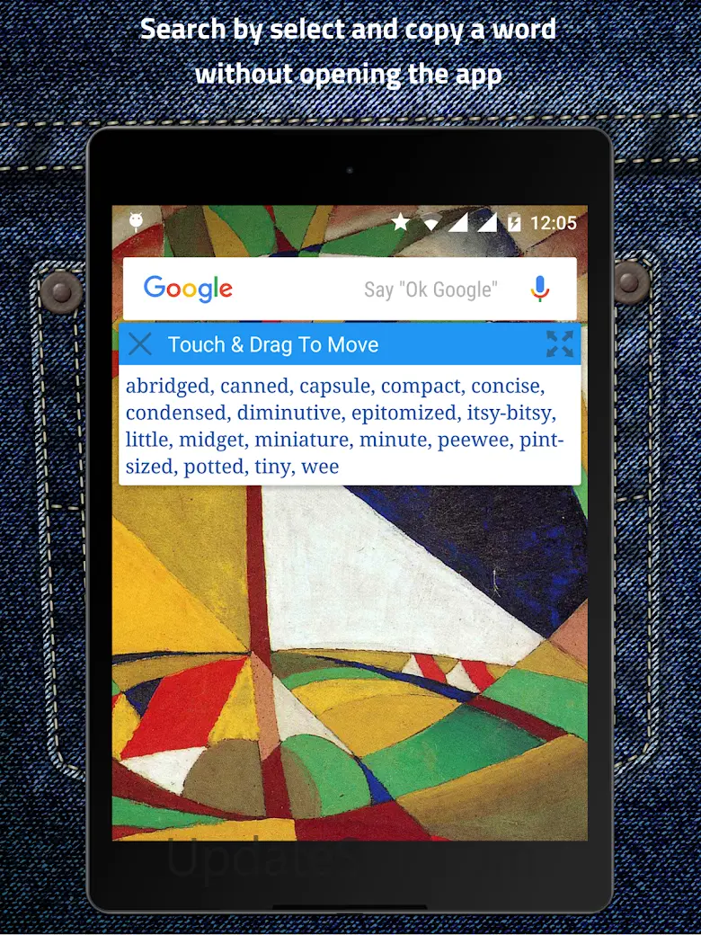 Pocket Thesaurus 2.0.5