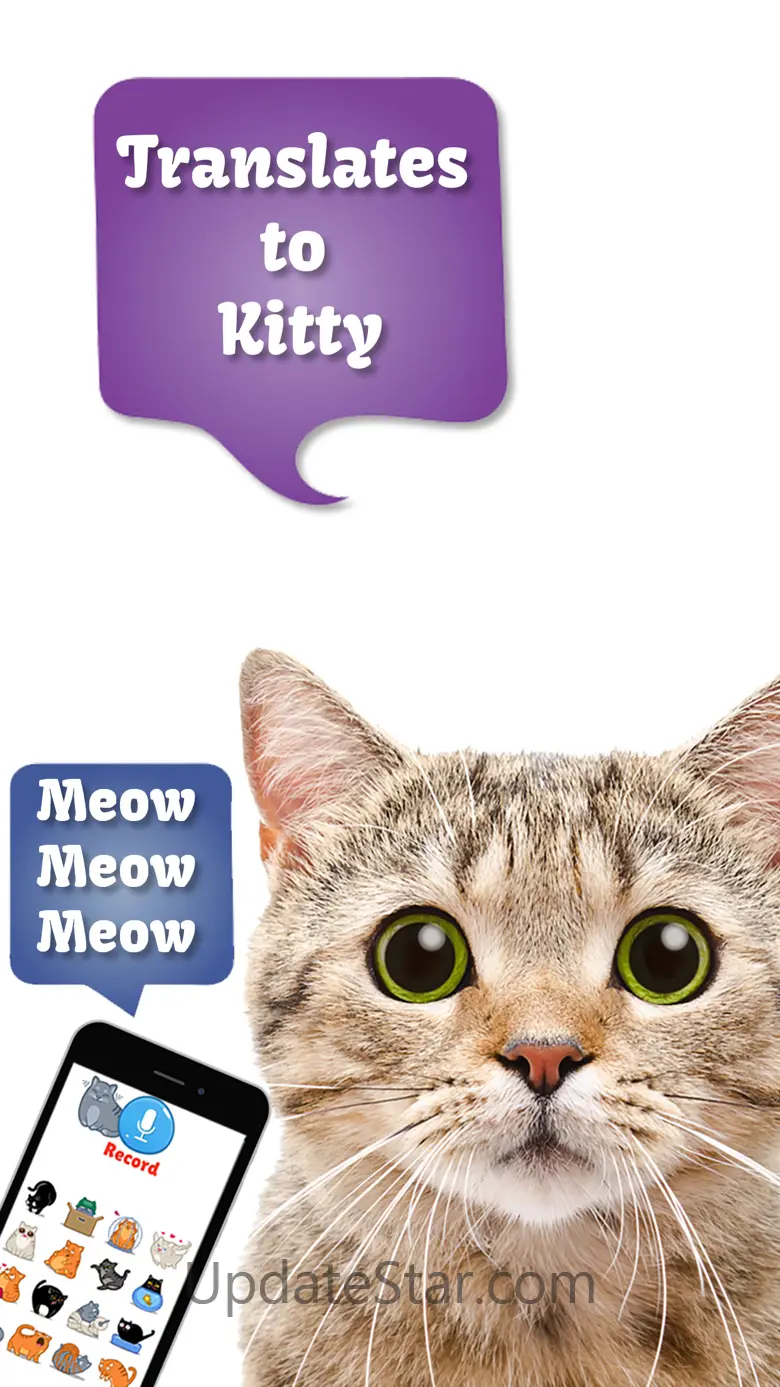 Cat Translate: talk to Kitten 3.5