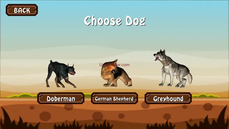 Doggy Dog World 1.1
