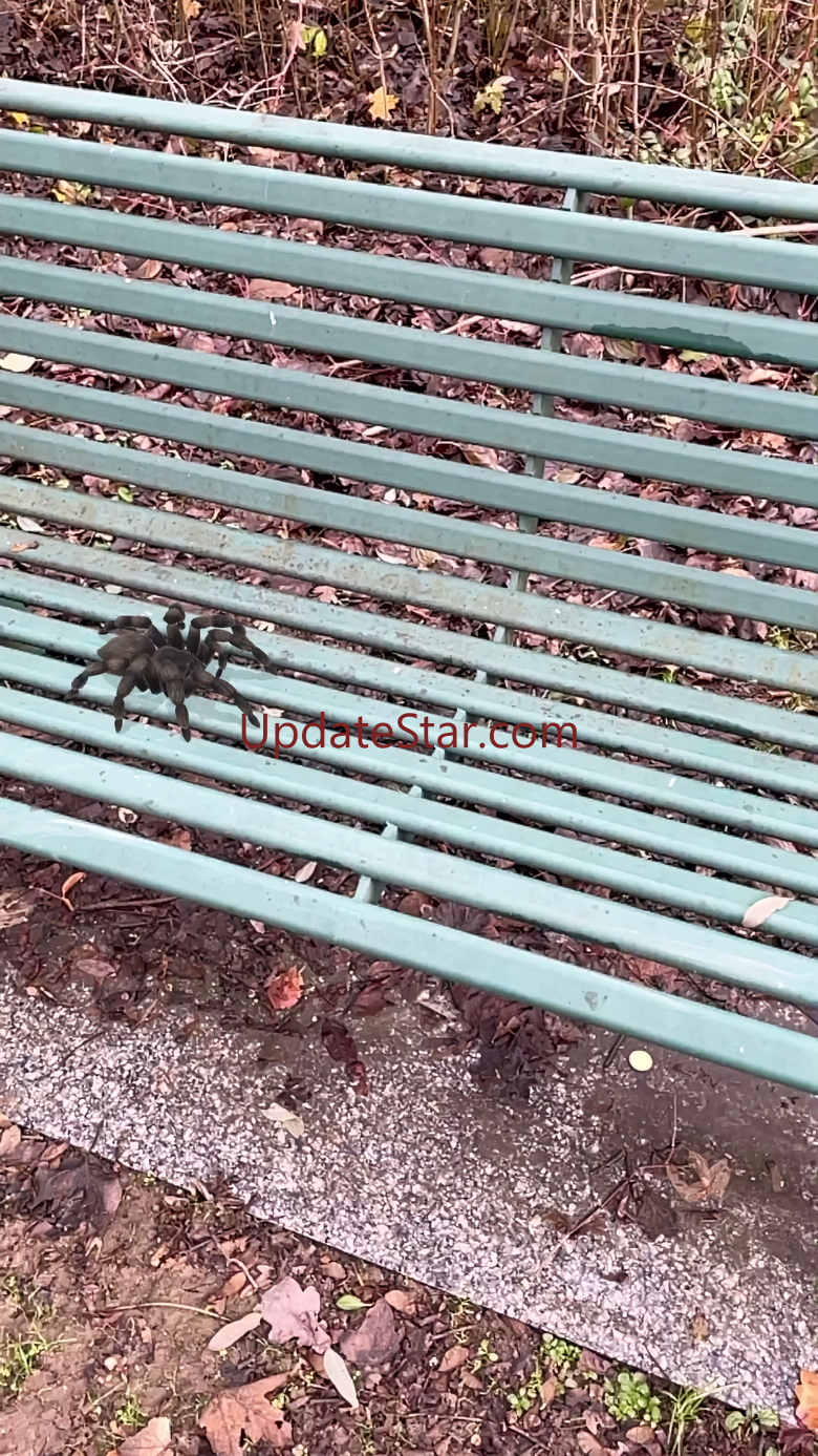 AR Spiders 1.91