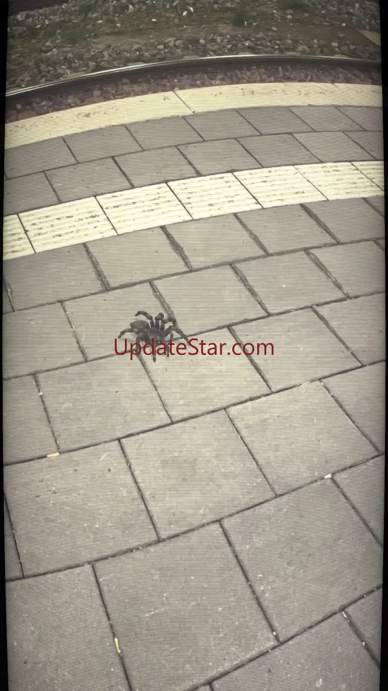 AR Spiders 1.91