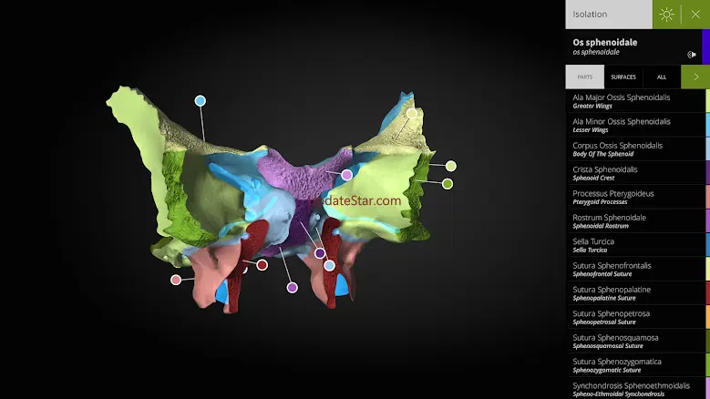 Anatomyka - 3D Anatomy Atlas 3.0.2