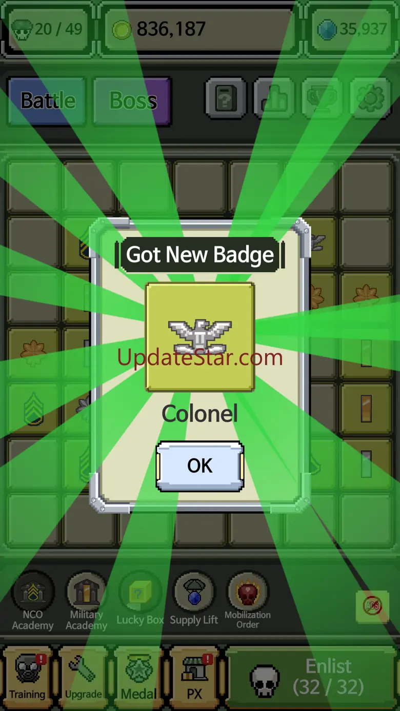 Rank Insignia 3.3.2