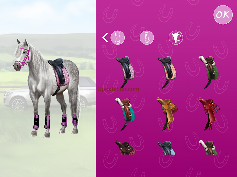 Horse and rider dressing fun 1.6
