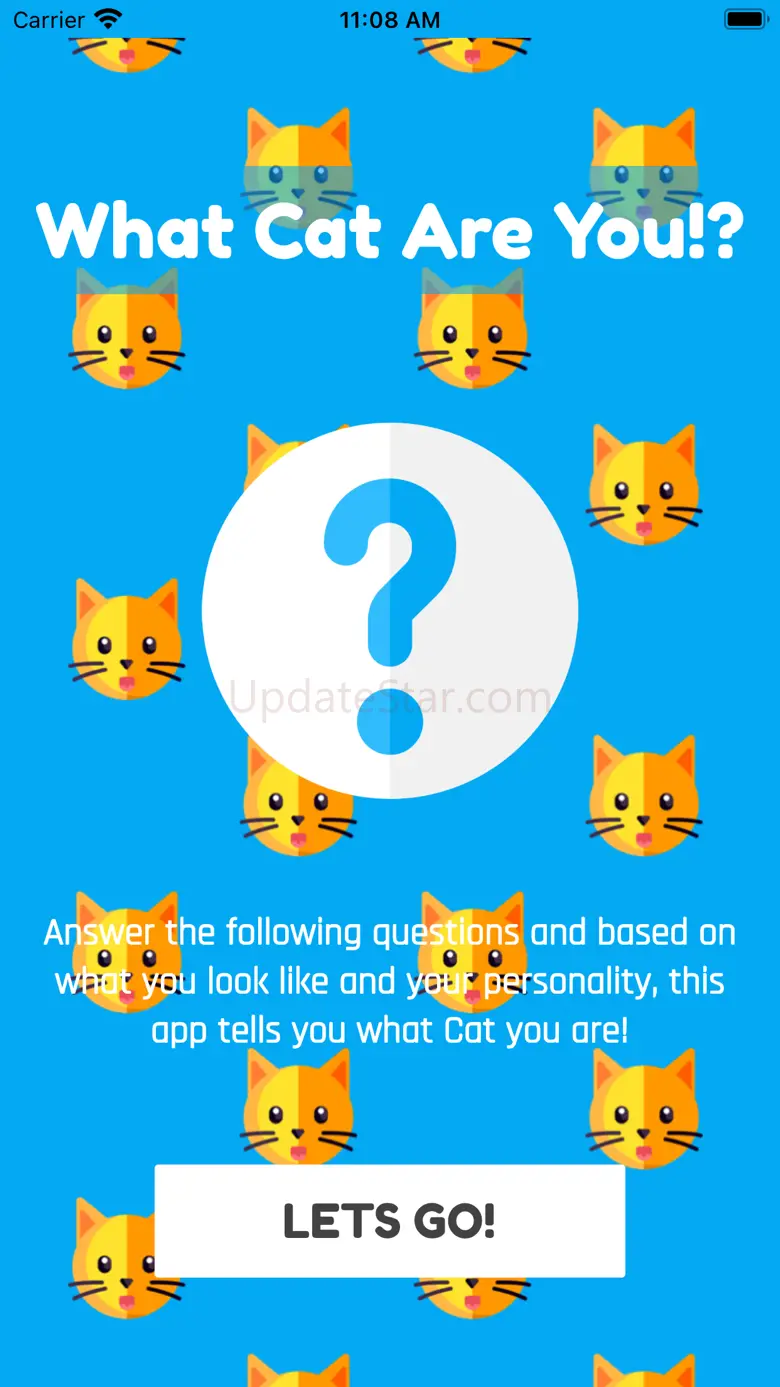 What Cat Am I? 6