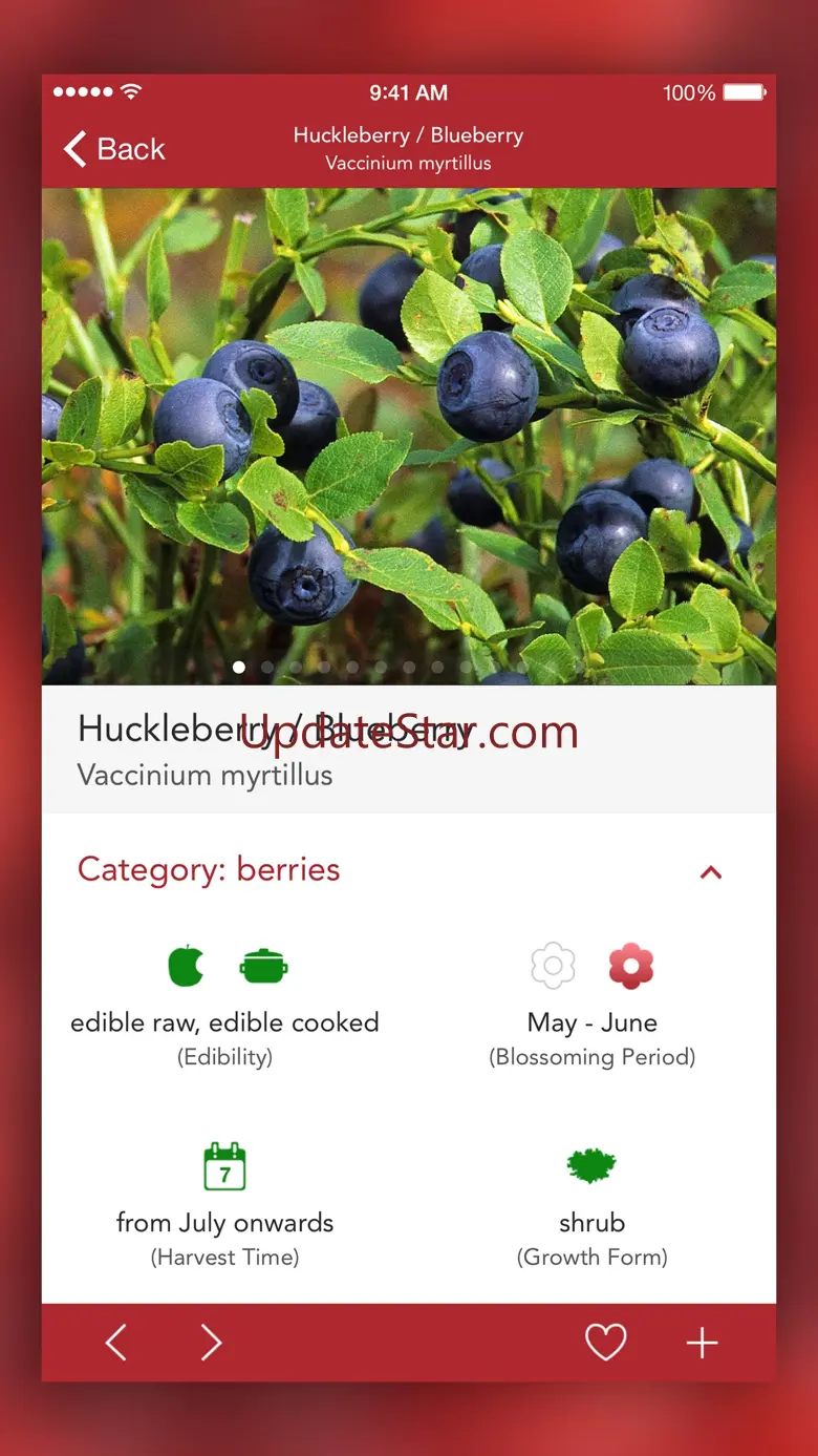 Wild Berries and Herbs LITE 4.7.0