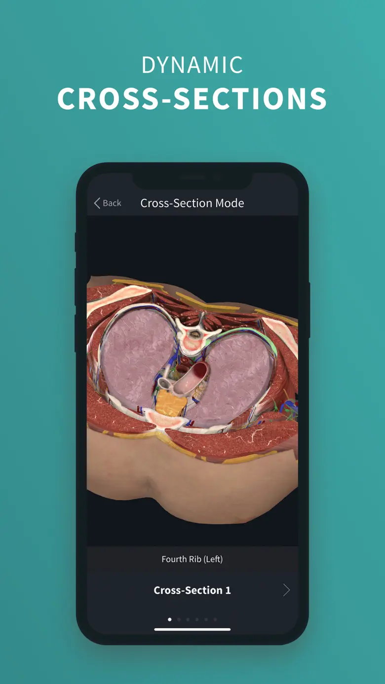 Complete Anatomy ‘24 10.4