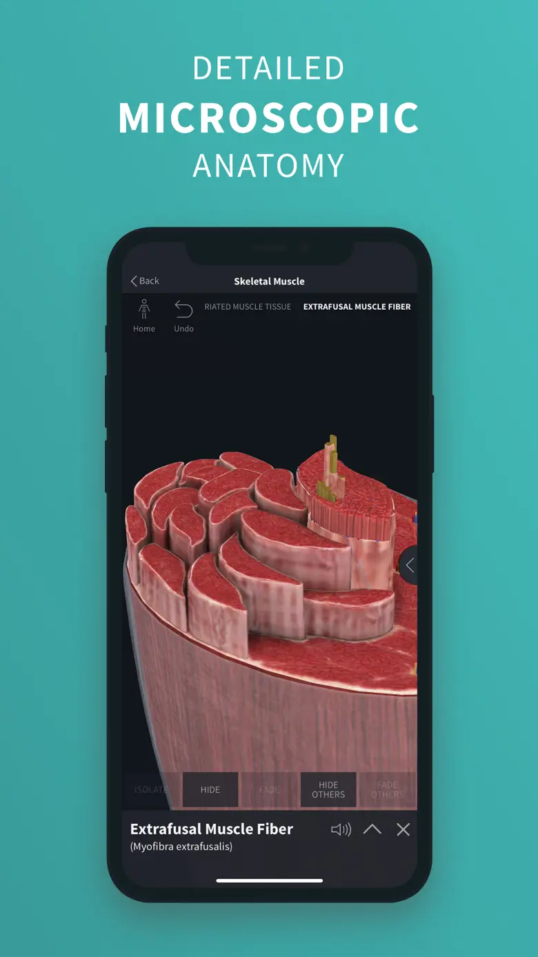 Complete Anatomy ‘24 10.4