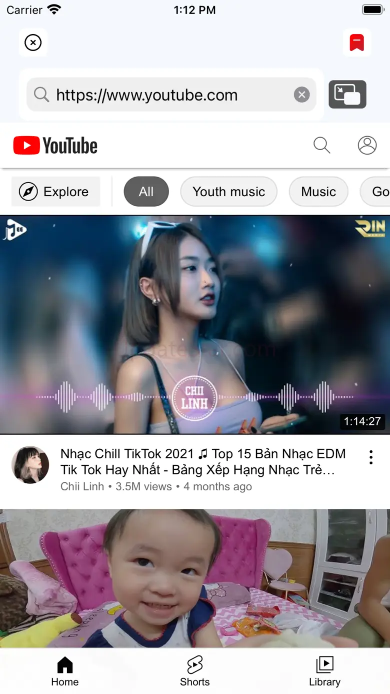 pip any video - vanced tube 1.6