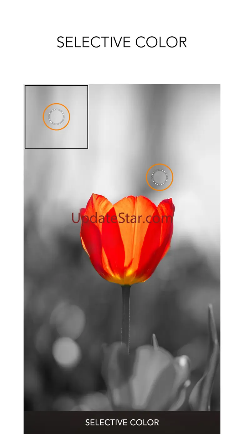 PICSPLAY Classic 4.0