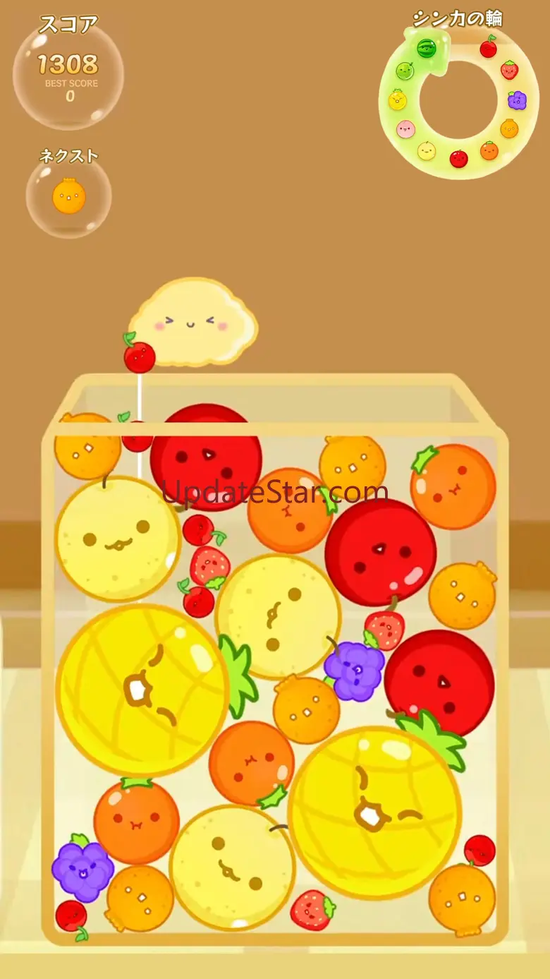 Watermelon Game Sorting Puzzle 1.6