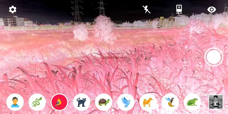 Animal Vision : OpenCV Filters 21