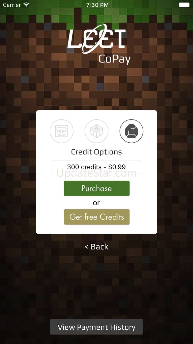 LEET Co-Payments 1.0.3