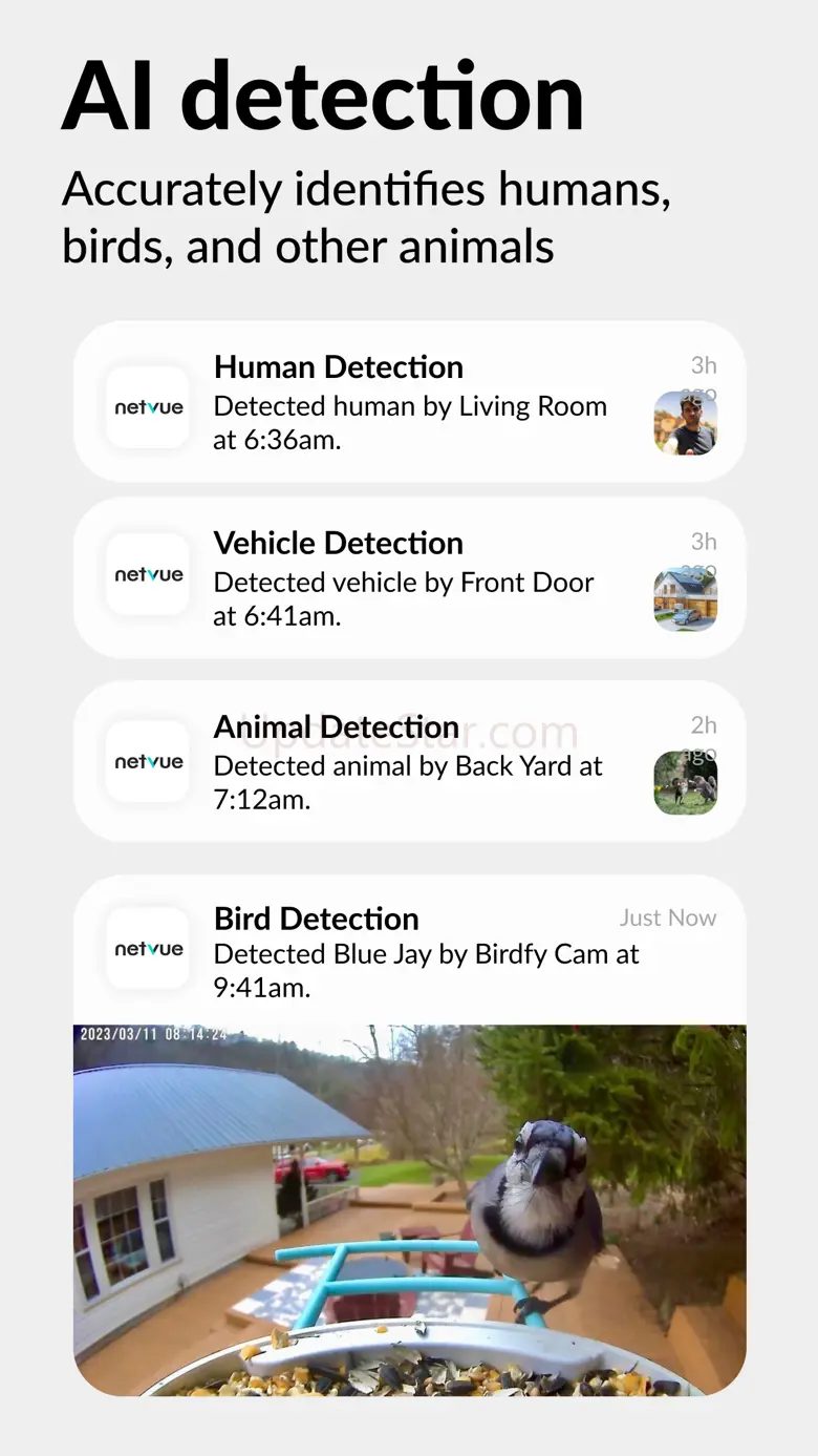 Netvue Next 6.8.2