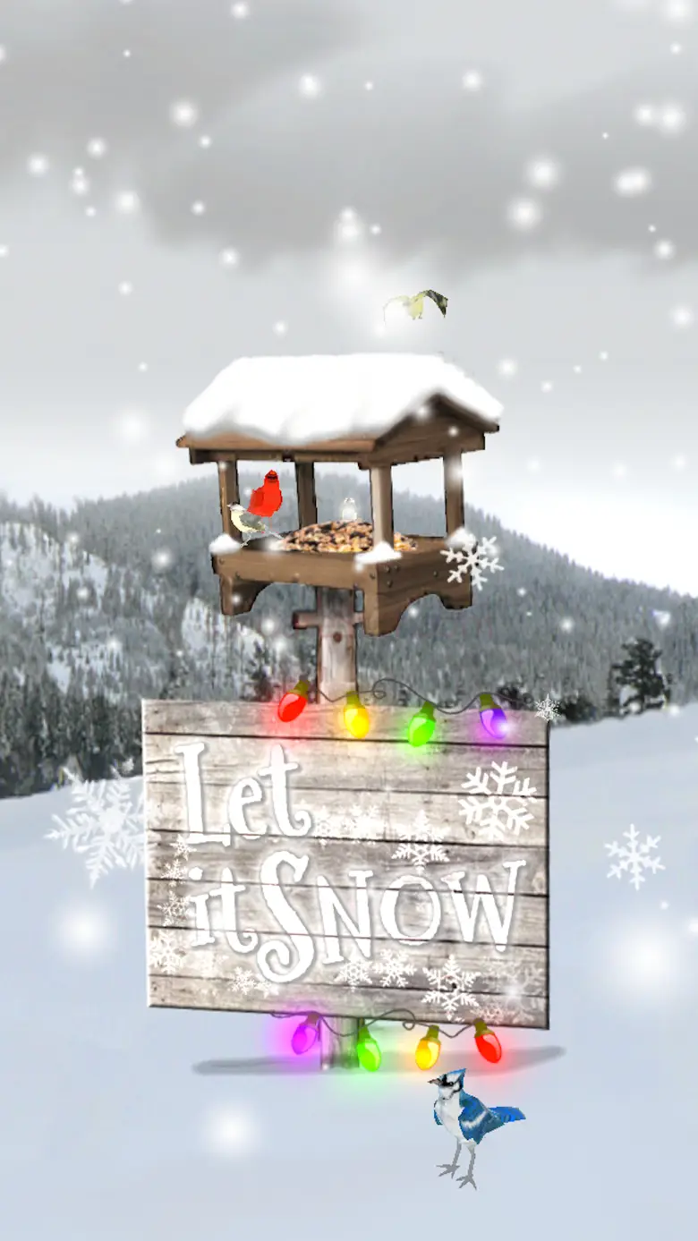Zen of Snow 2024.2