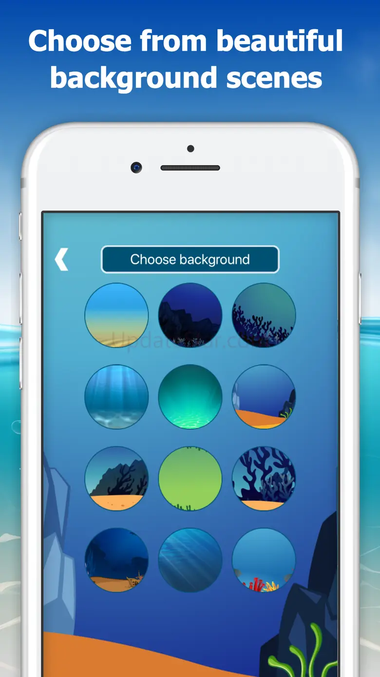 The Conch Shell: Magic answers 2.6.4