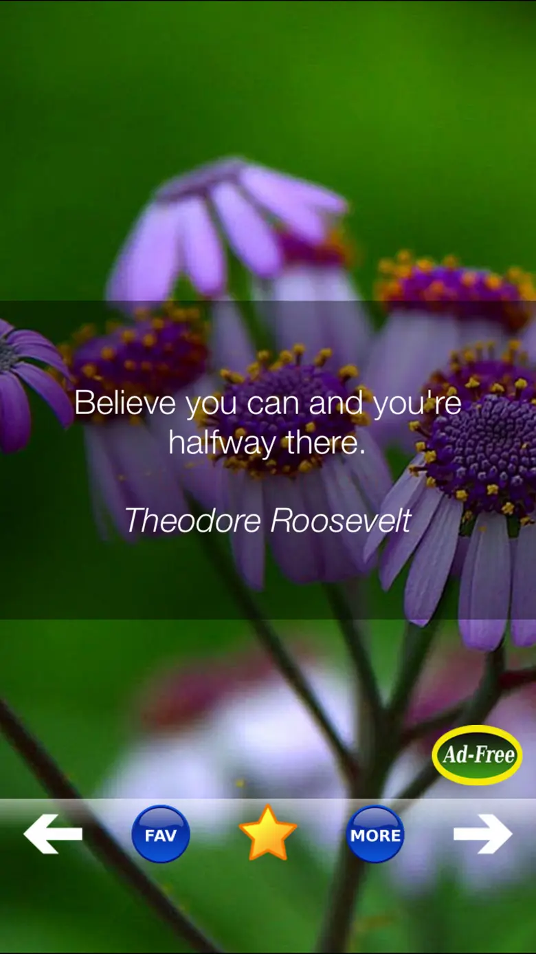 Self Help Improvement Quotes! 2.4.5