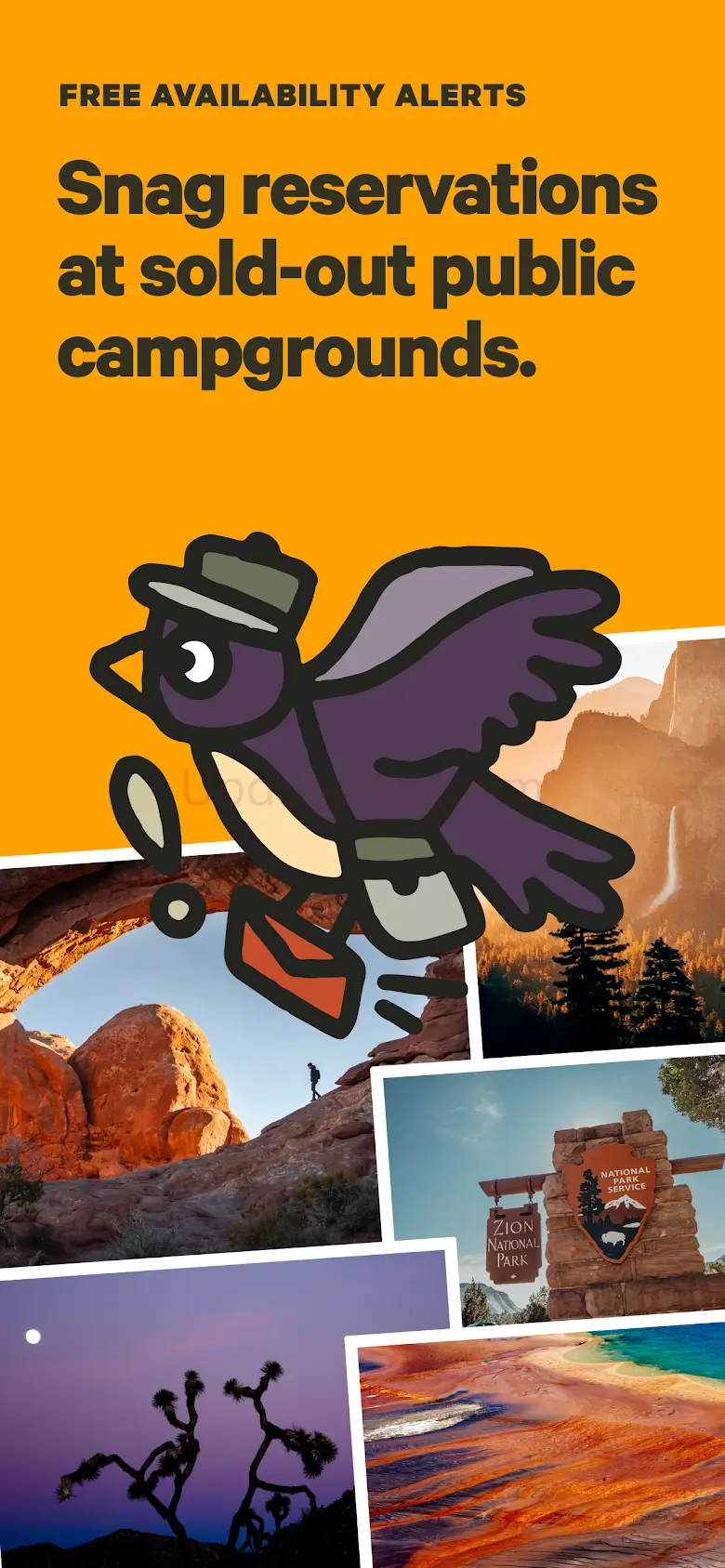 Hipcamp: Camping, RVs & Cabins 3.5.3