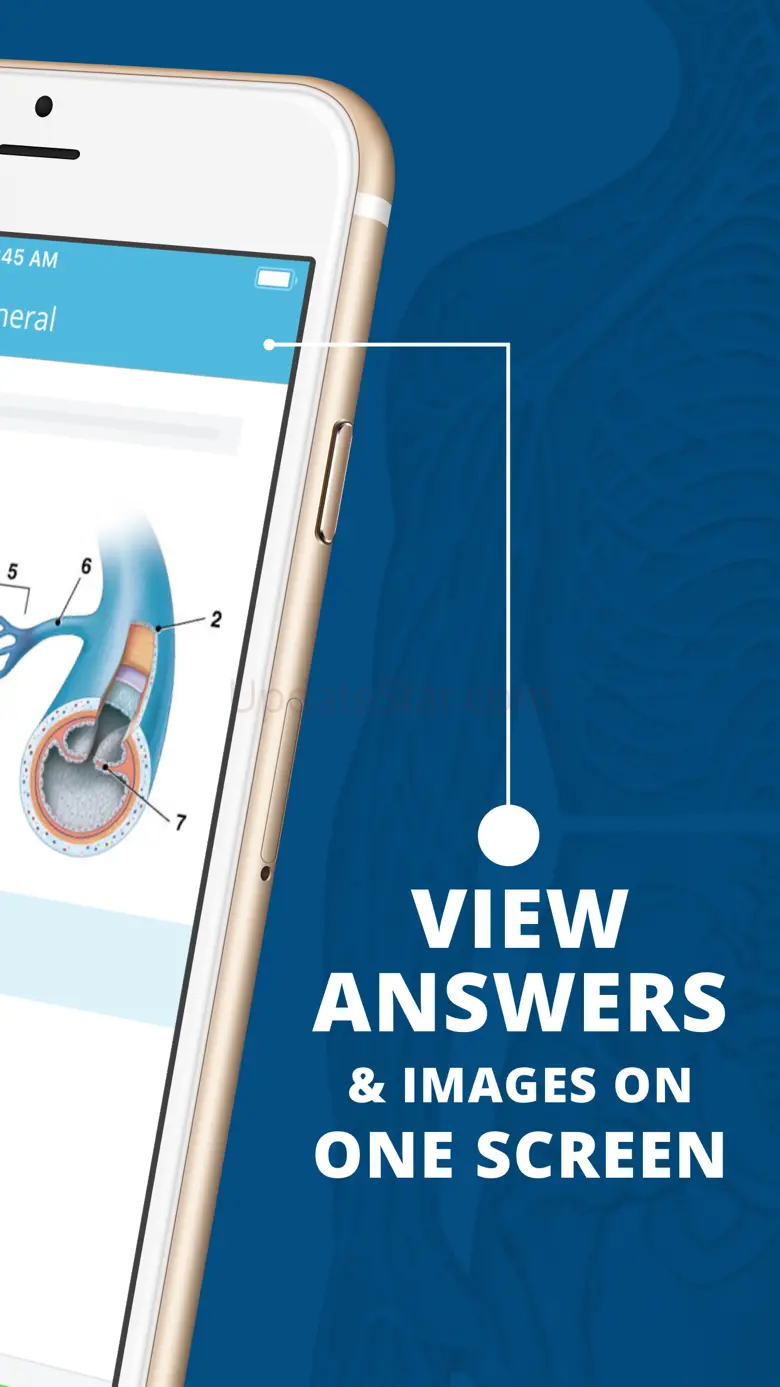 USMLE Clinical Anatomy Quiz 6.8.4625