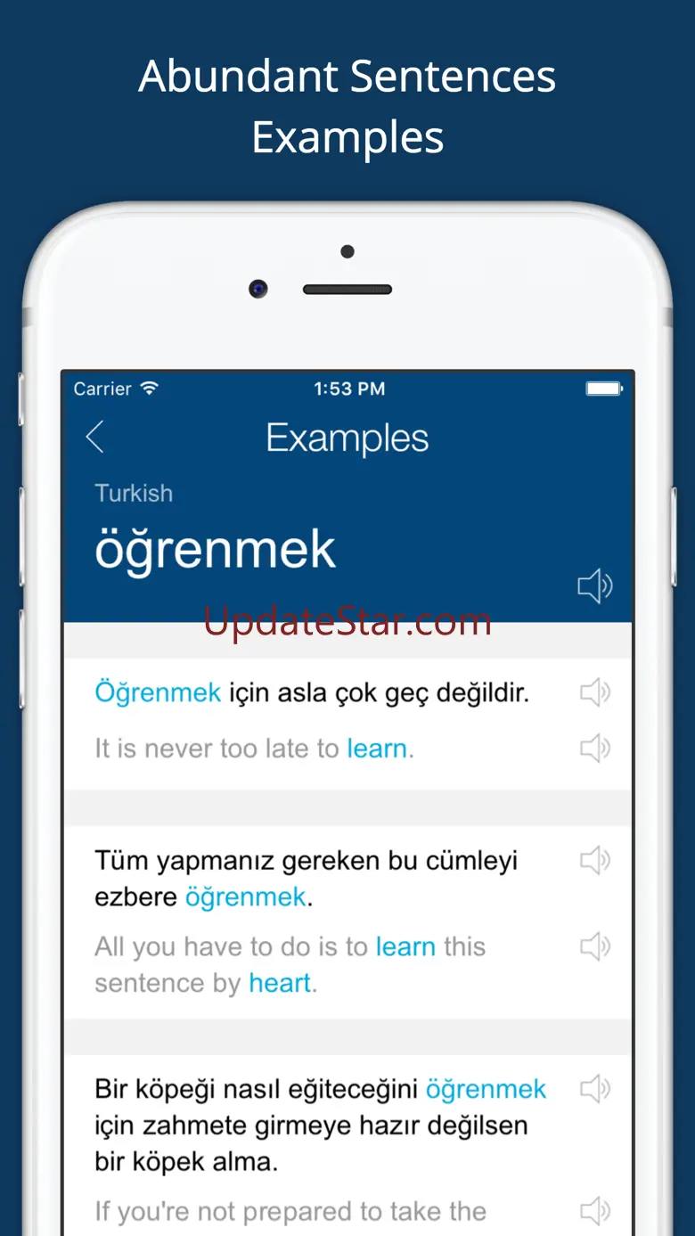 Turkish English Dictionary Pro 8.1