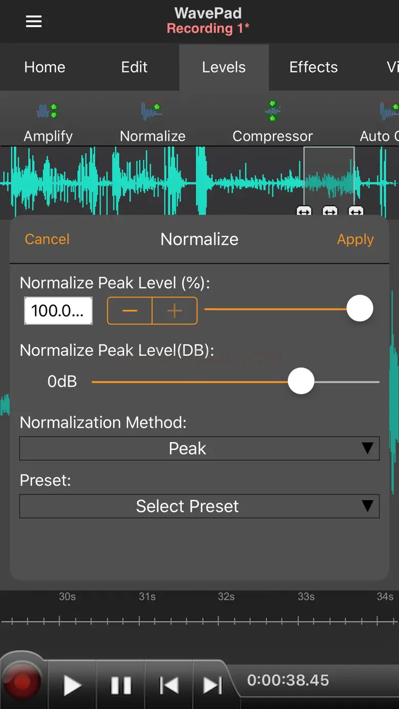 WavePad Master's Edition 2020 13.33