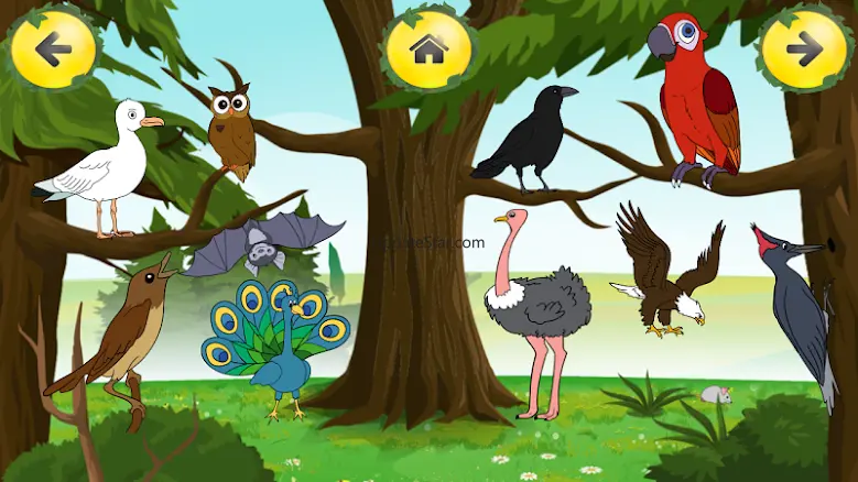 Animal Sounds Learn-Find Game 1.4