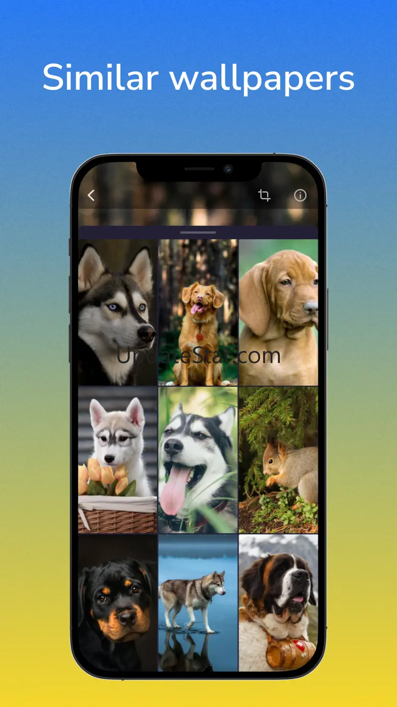 Wallpapers 4K & Backgrounds HD 1.2.2