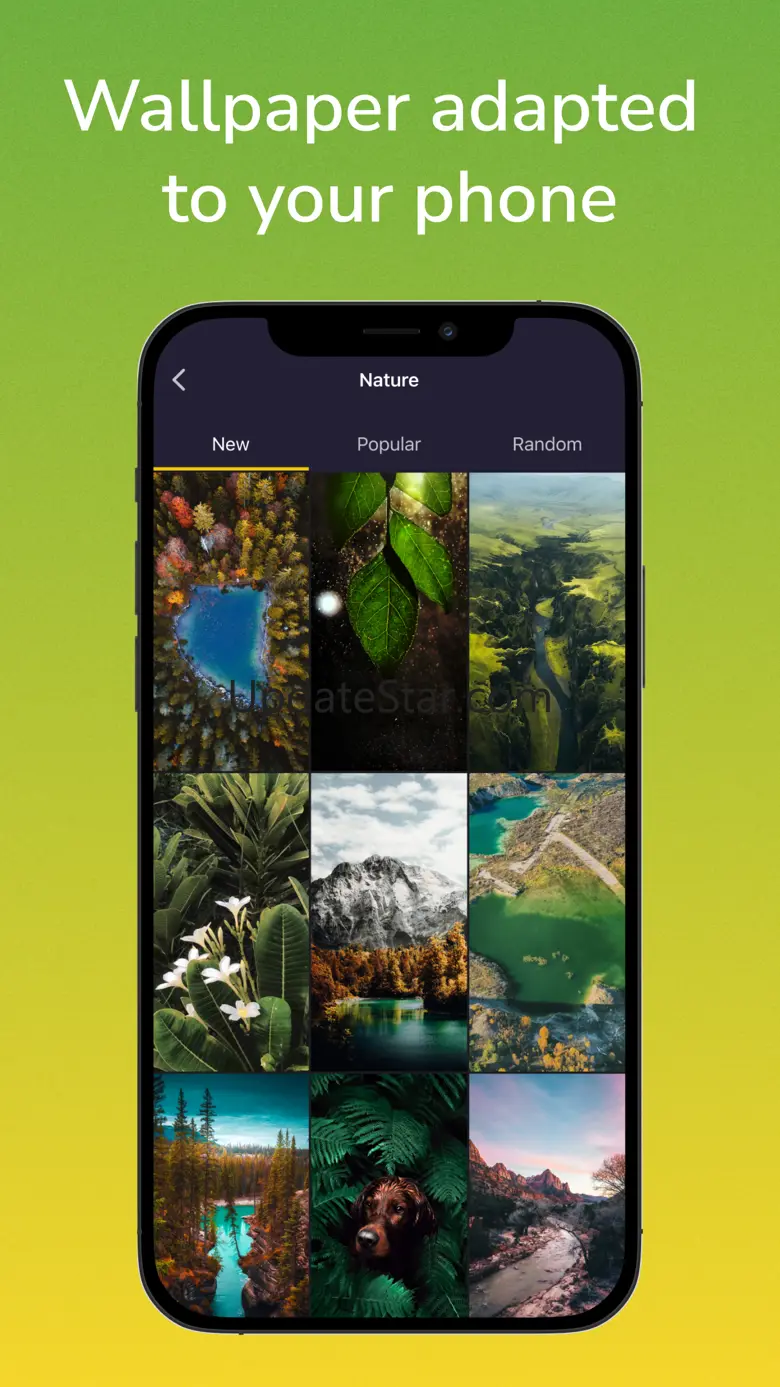 Wallpapers 4K & Backgrounds HD 1.2.2