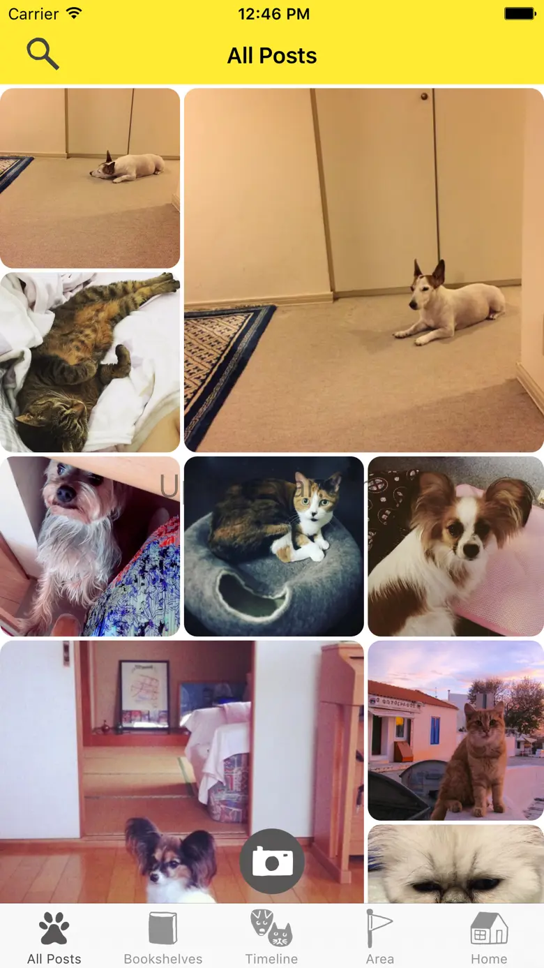 Dokonoko - Dogs&Cats Photo App 3.11.12