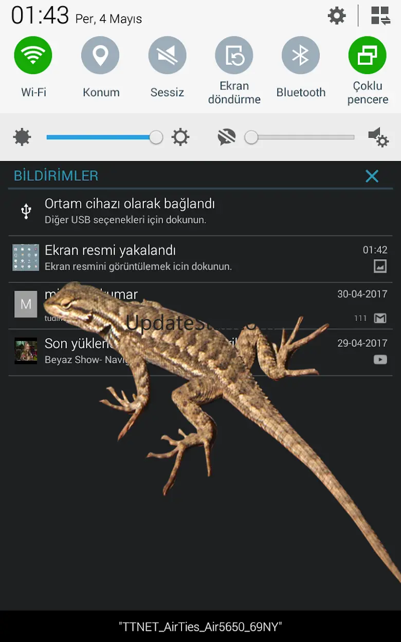 Lizard  on phone  prank 7.2