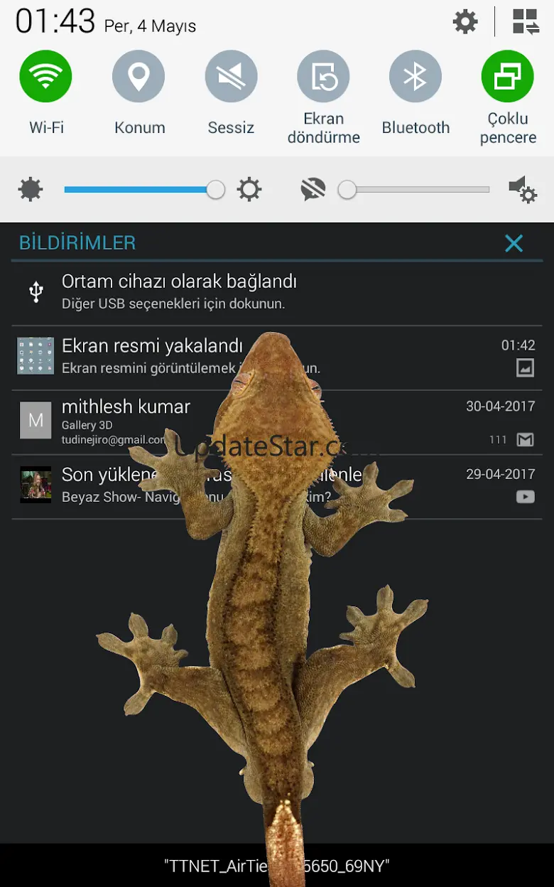 Lizard  on phone  prank 7.2