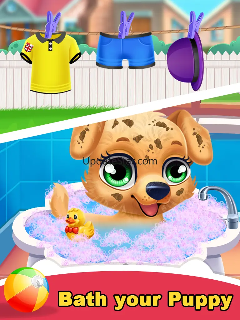 Labrador Puppy Pet Salon Care 1.2
