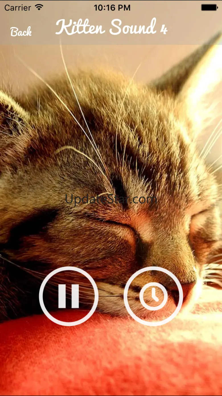 Kitten Sounds – Cat Meow Sound 3.0