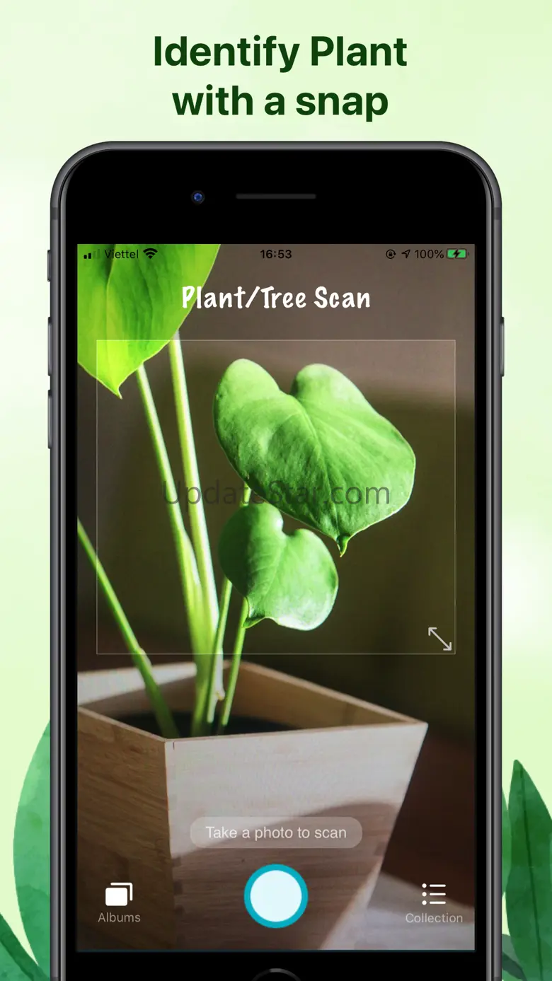 Weed identification leaf snap 1.0.1