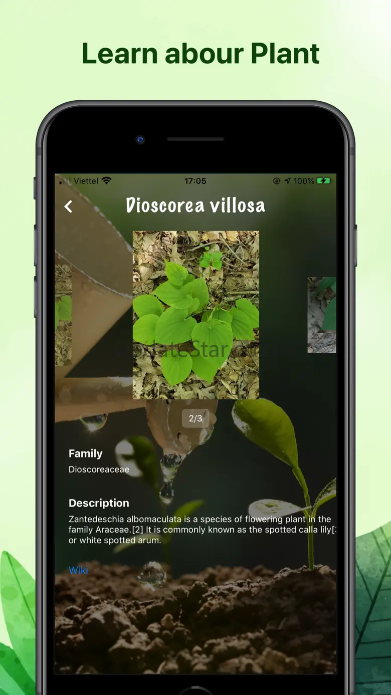 Weed identification leaf snap 1.0.1