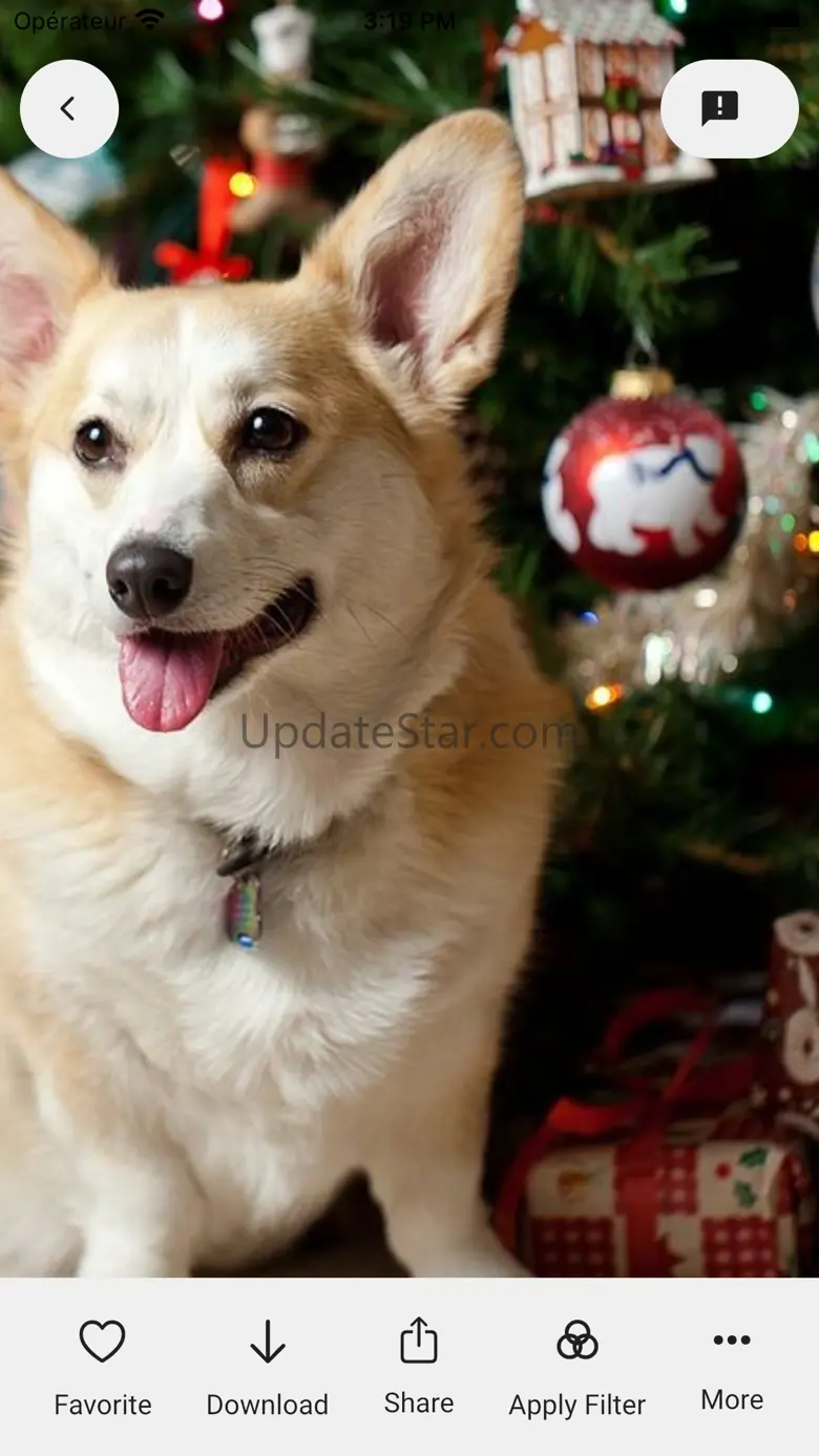 Christmas Live & HD wallpaper 2.0