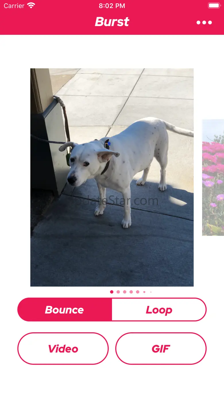 The Burst App 1.6.16