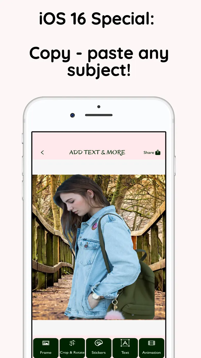 Story Post Photo Quick Share 1.1