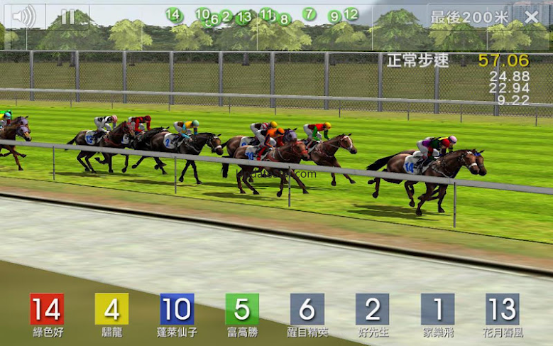 Race Simulator 3.00
