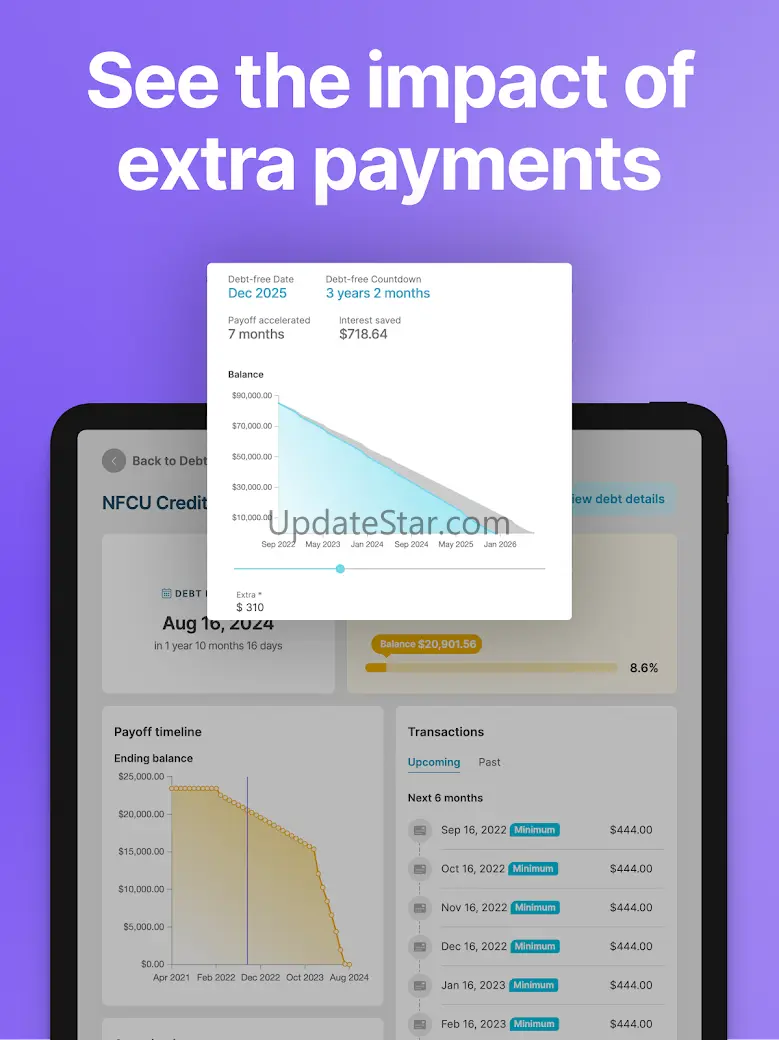 Debt Payoff Planner & Tracker 32