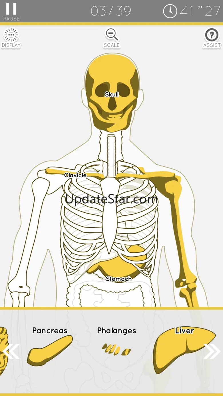 Enjoy Learning Anatomy puzzle 3.5.1
