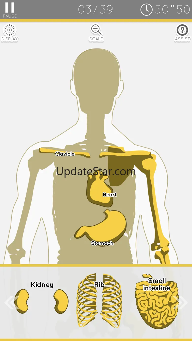 Enjoy Learning Anatomy puzzle 3.5.1