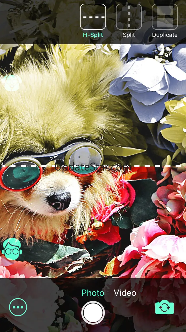 Pup View 1.2