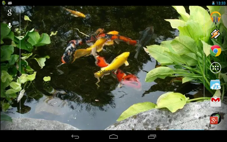 Magic Touch: Realistic Koi Liv 8.0
